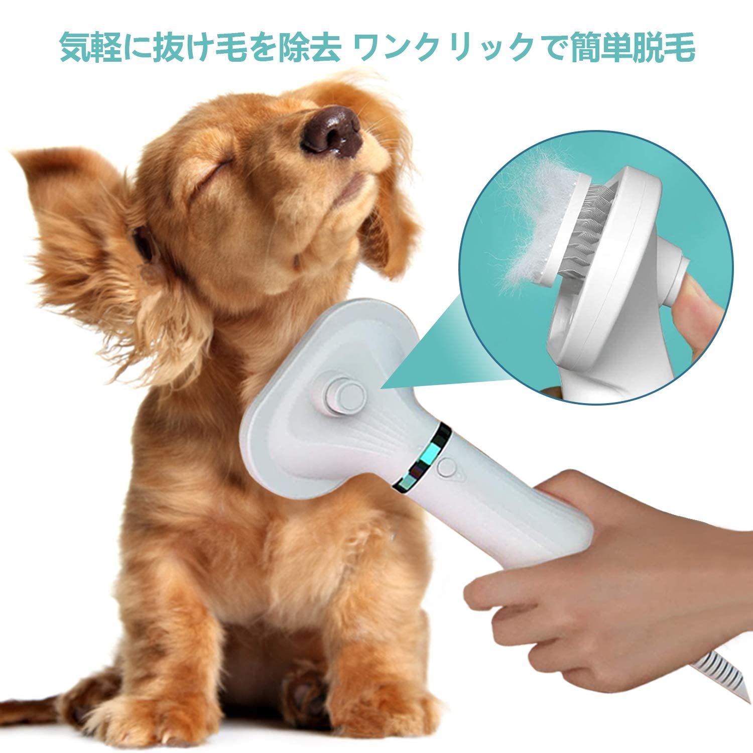 Amazon | QZDG ペット ドライヤー ペットブラシ ペットヘア乾燥