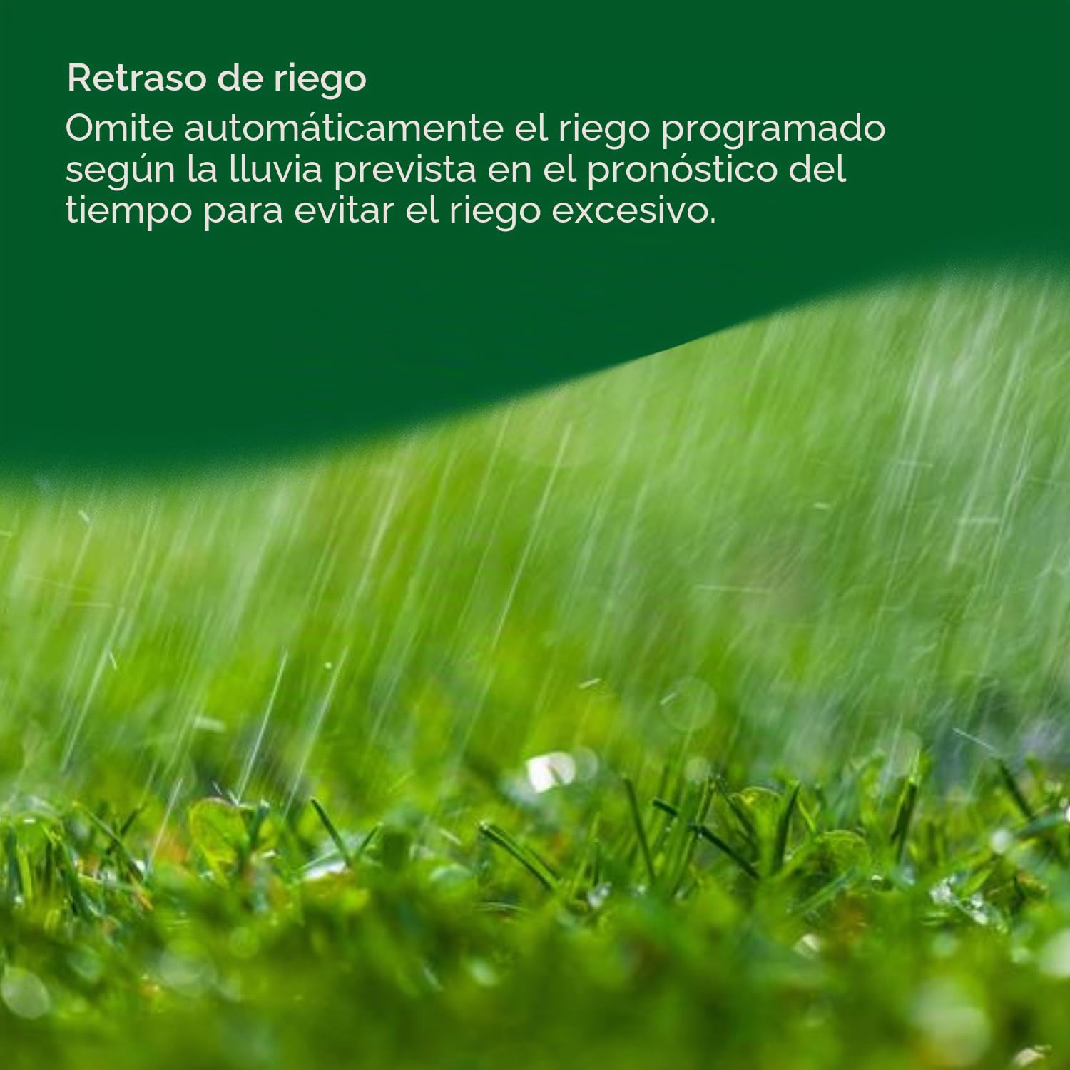 Rain-Bird LNK2WIFI - Módulo WiFi LNK de 2ª generación - Compatible con Todos los Controladores WiFi, Incluyendo ESP-ME3, ESP-TM2, ESP-Me WiFi - Rainbird