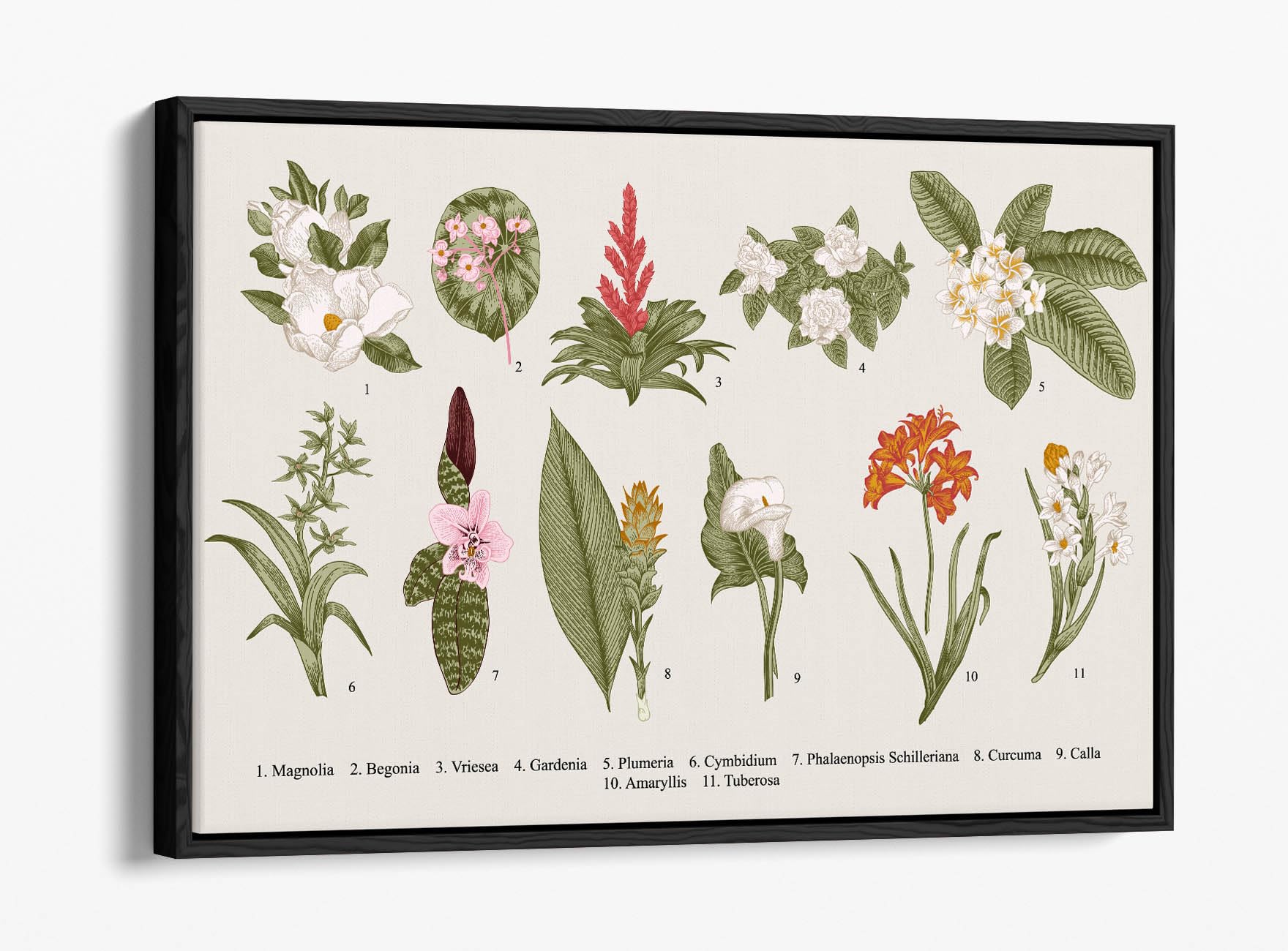 Illustration botanique florale sur toile déco murale grand format 76,2 x 50,8 cm cadre noir - 3