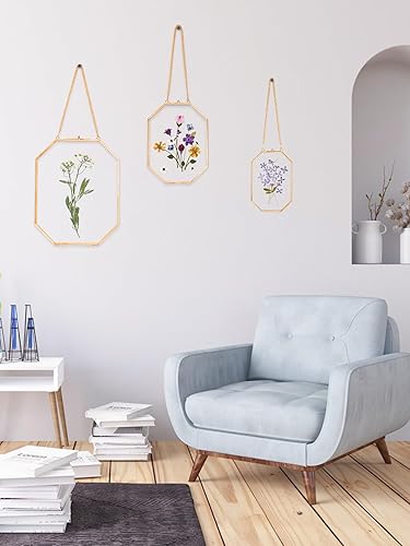 Miniatura 2 de REDHUGO Marcos de flores prensadas, marcos flotantes de vidrio para exhibir imágenes de plantas secas, marco de fotos de latón colgante con cadena,