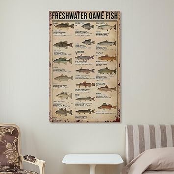 KEIUNDJK Freshwater Game Fish Knowledge Vintage Art Poster Style 12x18inch(30x45cm)