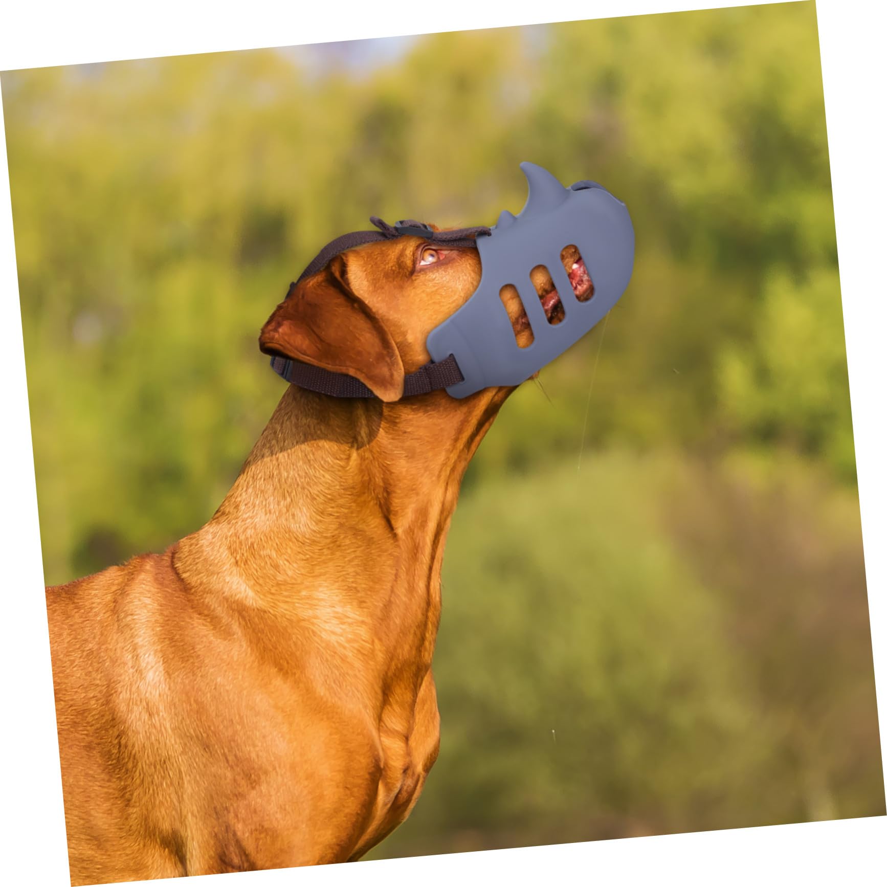 3 pièces Muselière pour Chiens Réglable Silicone Doux Confortable et Respirante Morsure et Aboiement Adaptée Aux Moyennes et Grandes Races
