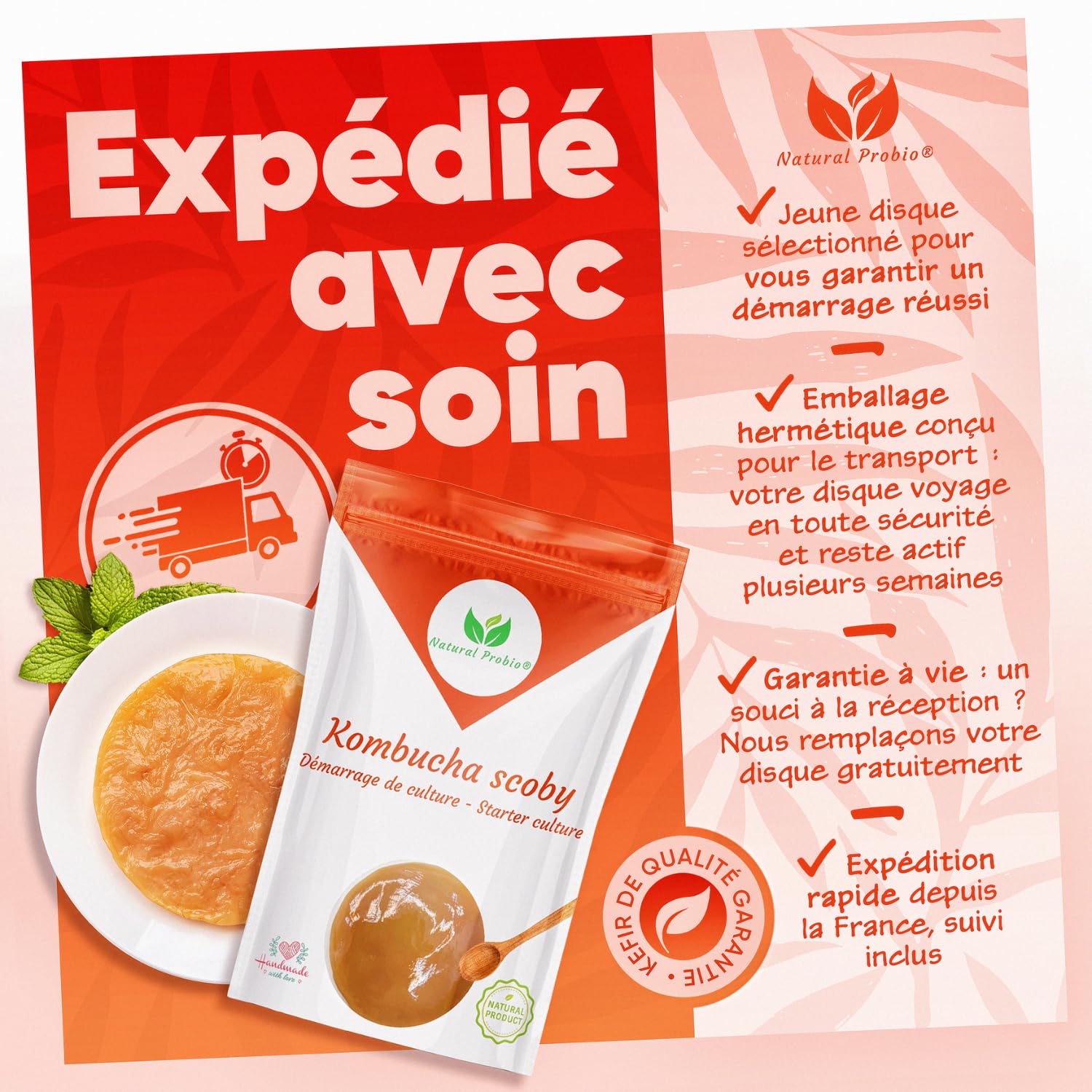 Natural Probio® Original Kombucha Scoby - Kit de démarrage de Culture - Mere de Kombucha de souche Authentique + Notice complète, Recette et Conseils + Accès Ebook offert