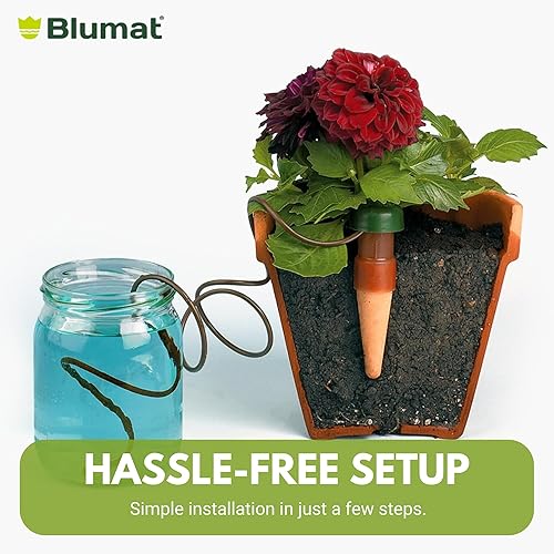 Miniatura 7 de Blumat Dispositivos de riego de plantas  Inserto de maceta de riego automático XL clásico  Estacas de riego automático de plantas por goteo para