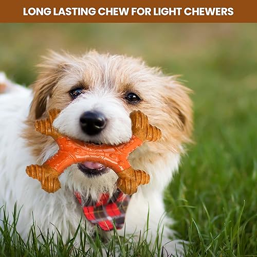 Miniatura 6 de SPOT Bam-Bones Dental X-Bone - Hecho con fibra de bambú y un centro de goma masajeadora, masticable duradero para perros masticadores ligeros y