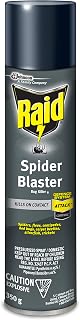 Raid Spider Blaster Killer, Kills Listed Bugs on Contact, For Indoor Use, 350g