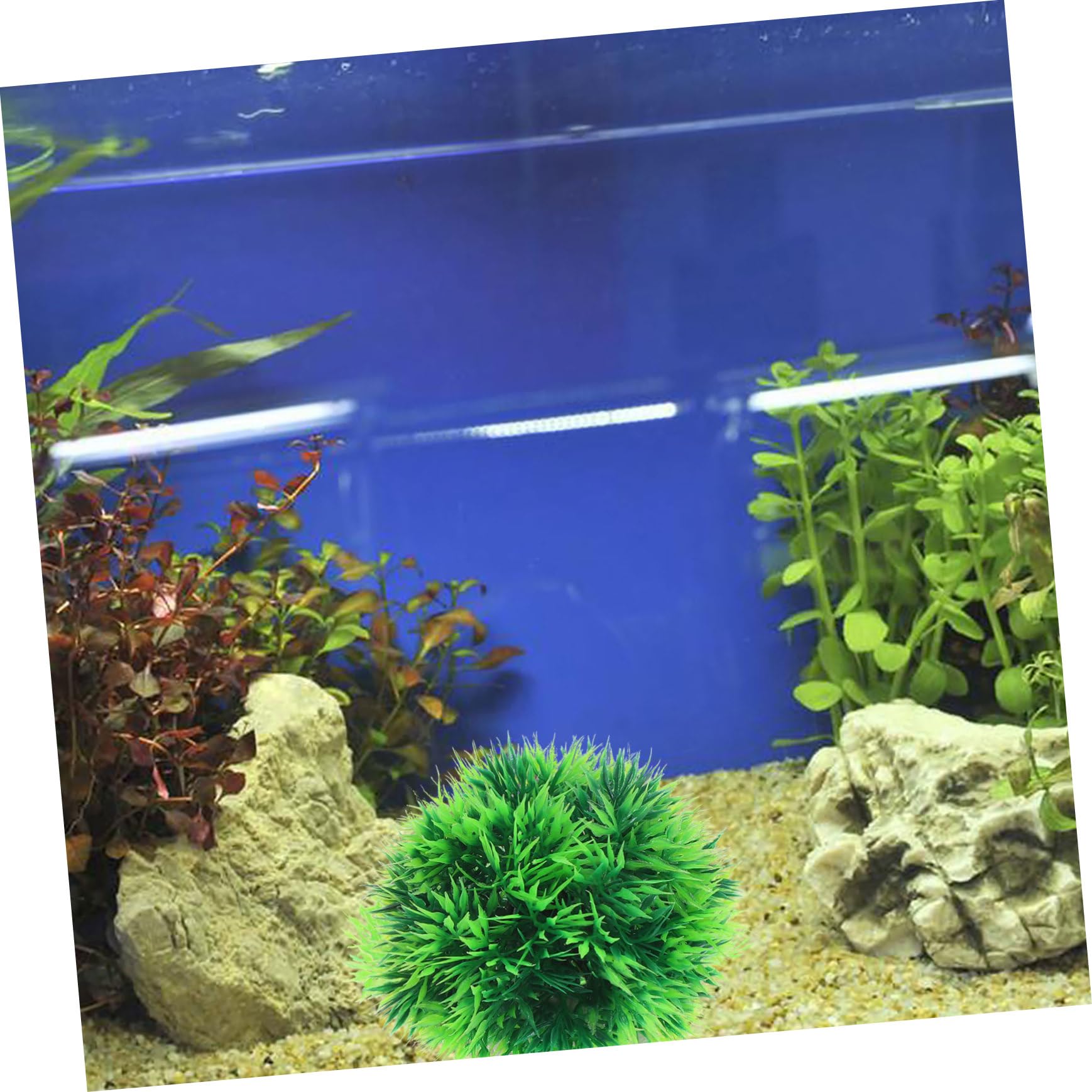 BESPORTBLE 12pièces Plantes Aquatiques Artificielles Décorations pour Aquariums Et Réservoirs Vertes Rouges Ornements sous-Marins Naturels pour Habitat Sain des Poissons