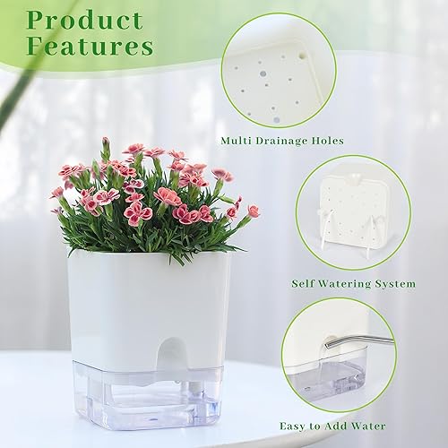 Miniatura 5 de FAMZ Paquete de 4 macetas de autorriego para plantas de interior, hidratación automática, maceta cuadrada transparente para plantas