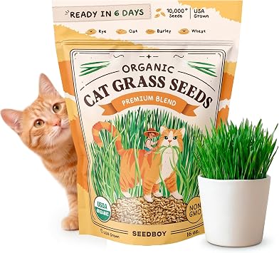 Seedboy Organic Cat Grass Seeds for Planting, Non-GMO Wheat, Oat, Rye, and Barley Cat Grass for Indoor Cats 16 oz
