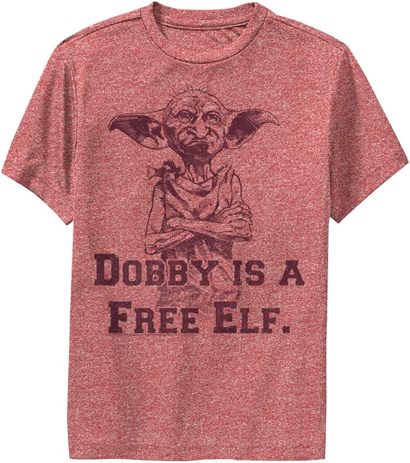 Harry Potter Kids' Dobby Free Elf