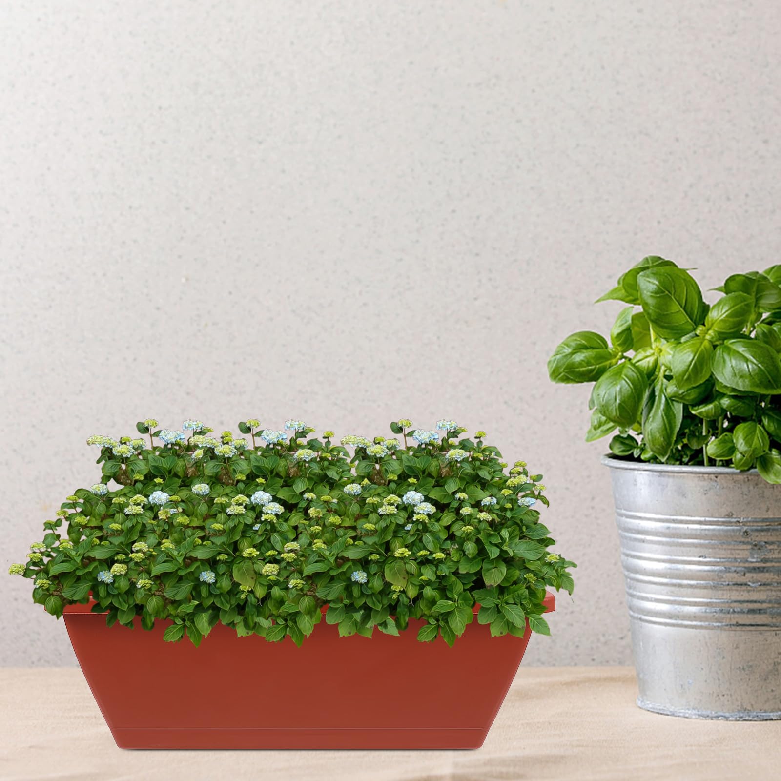 Set 6 Vasi di Fiori in Plastica per Balcone e Casa, Grande Vaso Rettangolare Spesso e Resistente, per Piante e Orto Domestico