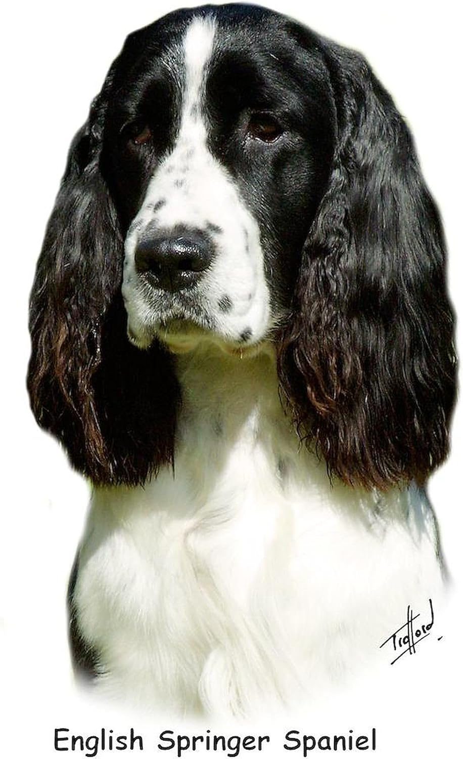 CafePress English Springer Spaniel 9J37D 20 Large Mug 15 oz (444 ml) Ceramic Coffee Mug