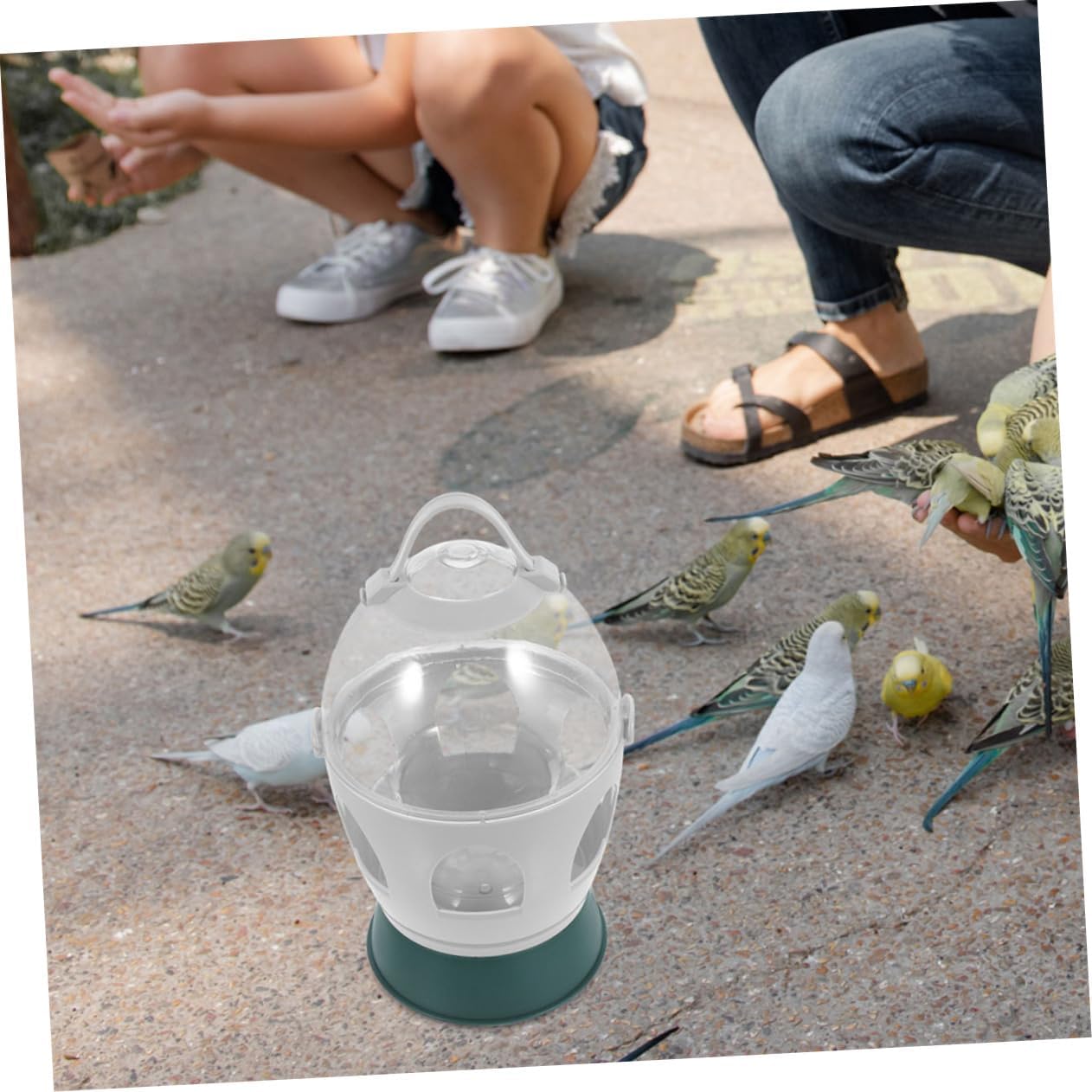 Bird Water Dispenser and Feeder for Pigeons Parrots and Doves Capacity Automatic Watering System Easy to Clean Bird Cage Accessory for Pet Owners