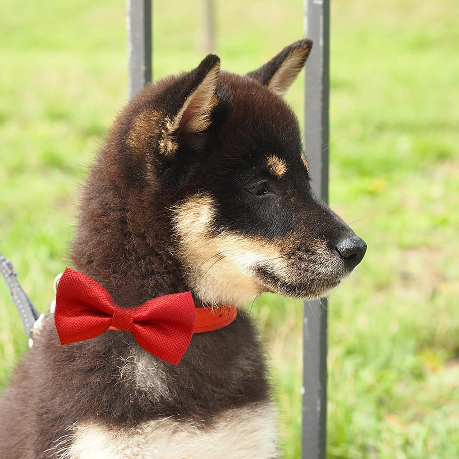 Bow Ties| Premium Double Layer Bowtie| 20 Colors Dog Collar Attachment Bow Ties Rubber Band for Medium Pet Collars(Medium) image 4