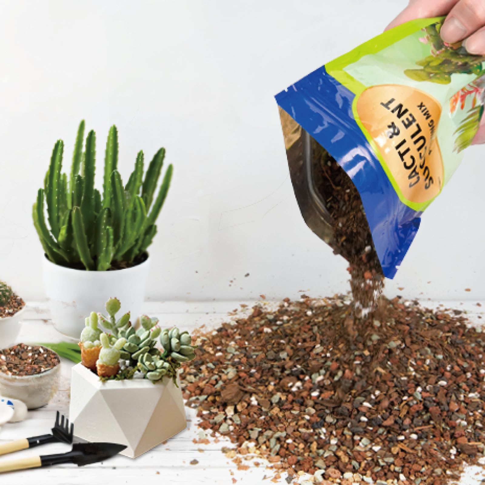 GOTVUGE Succulent & Cactus Soil Potting Mix, Chunky Dirt with Fast Draining Fits for Bonsai Terrarium and Houseplant (2L) - Image 3