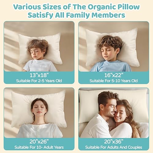 Miniatura 7 de LOFE Almohada orgánica para niños pequeños con funda - 13x18 Almohada para niños pequeños con funda de algodón orgánico 100%, almohada orgánica