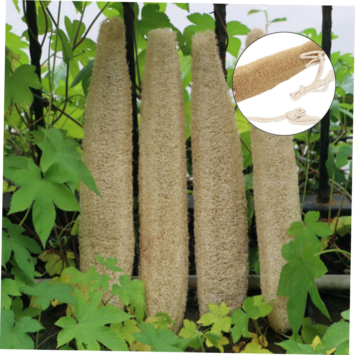 FOMIYES 3piezas Esponja Exfoliante De Espalda De Lufa Natural Con Correa Doble Para y Baño Limpiador De Cuerpo De Uso Diario