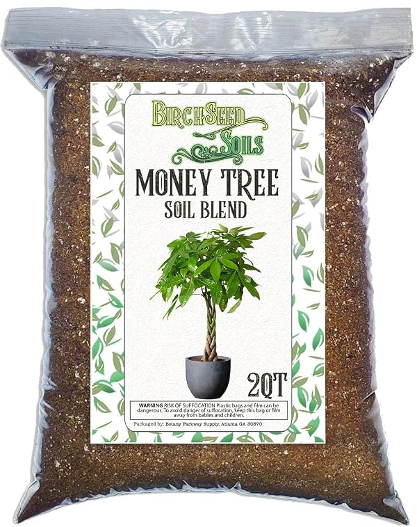 Money Tree Soil Mix – 2 Quart Fast-Draining Potting Soil for Healthy Root Growth – All-Natural Blend – Resealable Bag – Ideal for Pachira aquatica & Indoor Houseplants by Generic - Used condition - US$8.74