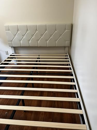 Review Image by Amazon Customer