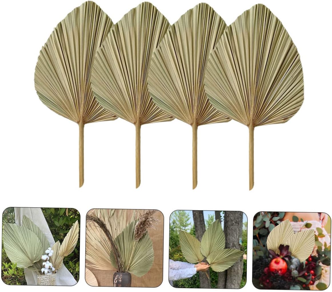 Alipis 4pcs Large Dried Palm Leaves Decor for Wedding Party Home Tropical Style