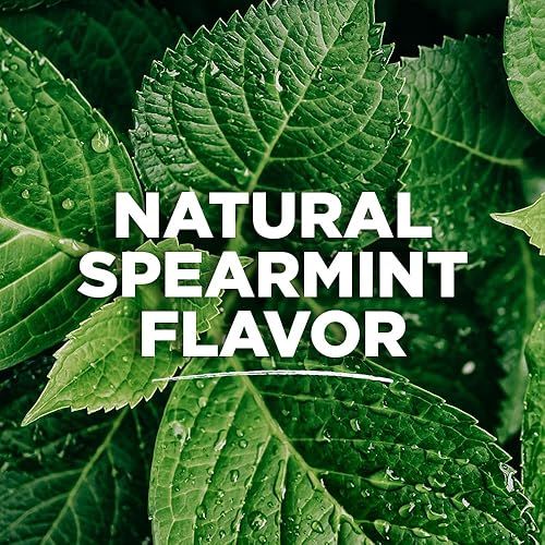 Miniatura 3 de Toms of Maine Pasta dental natural antiplaca y blanqueadora sin fluoruro menta verde 55 onzas