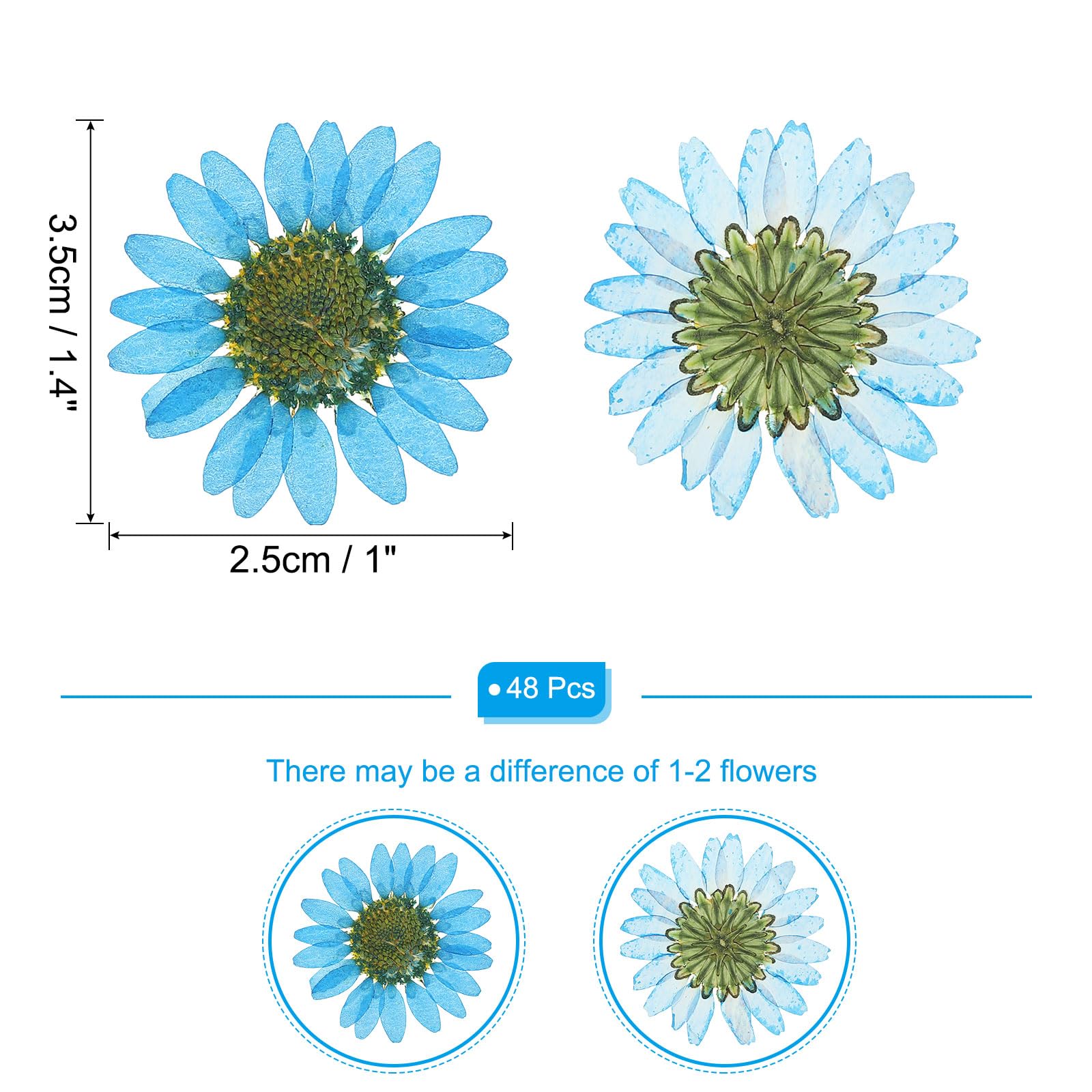 PATIKIL 48 Pcs Dried Pressed Flower Natural Dried Daisy Flower for DIY Art Crafts House Decoration Nails Decoration,Sapphire Blue - Image 2