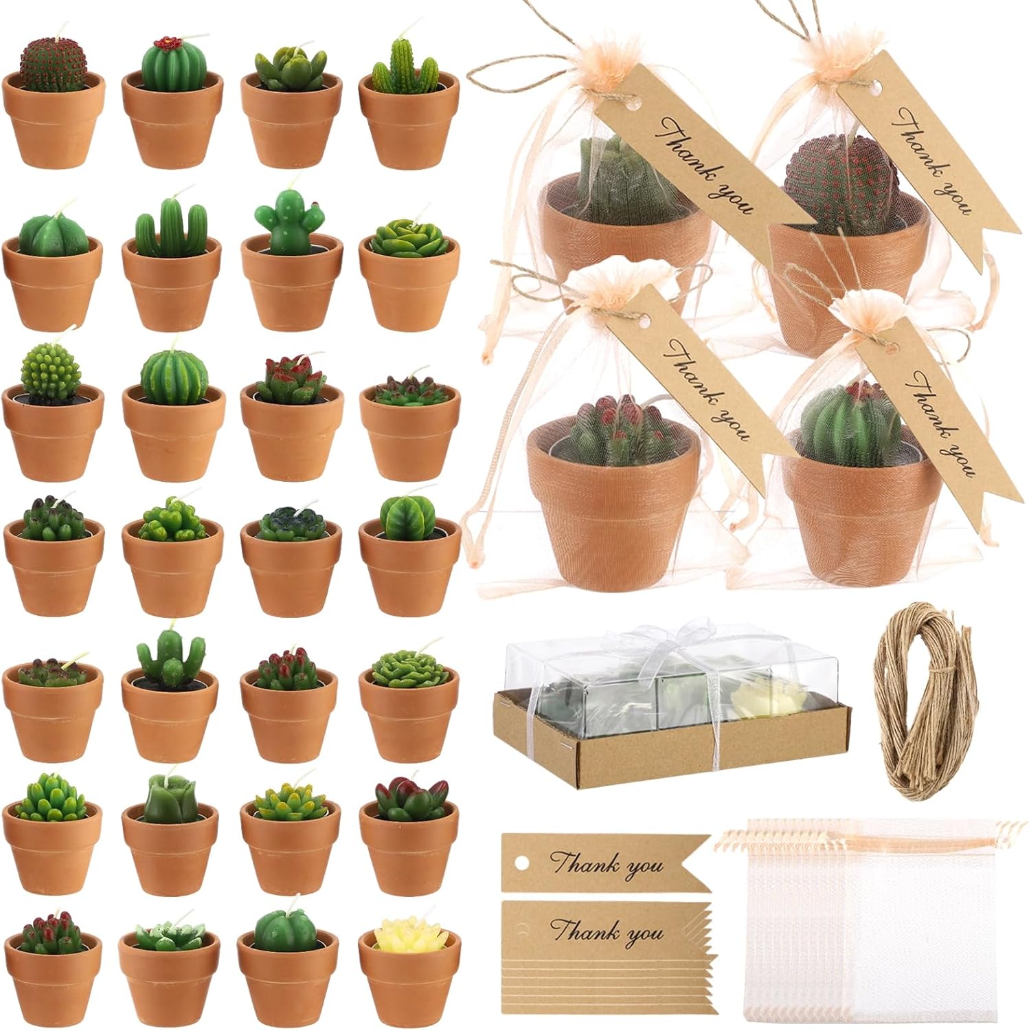 48 Sets Succulent Tealight Candles, Succulent Candle Favors Set, Decorative Cactus Candles with Terracotta Pots, Organza Bags, and Thank You Tags for Wedding, Bridal Shower, Birthday