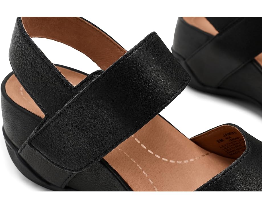 Jambu Nia - Right View