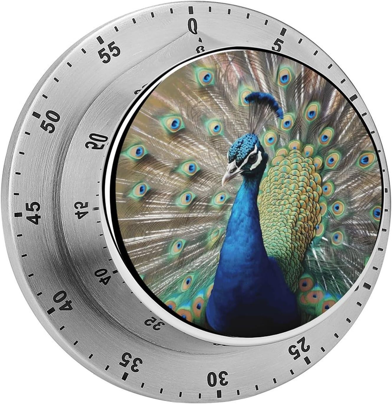 The Peacock Timer Stainless Steel Kitchen Timers Waterproof & Rust-Proof 60 Minute Mechanical Timer with Loud Alarm for Cooking, Baking, Fitness
