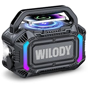Wilody Speakers Bluetooth Wireless 100W Loud Outdoor Speaker with Bass IPX7 Waterproof Floatable 20H Playtime Wireless Charge TWS