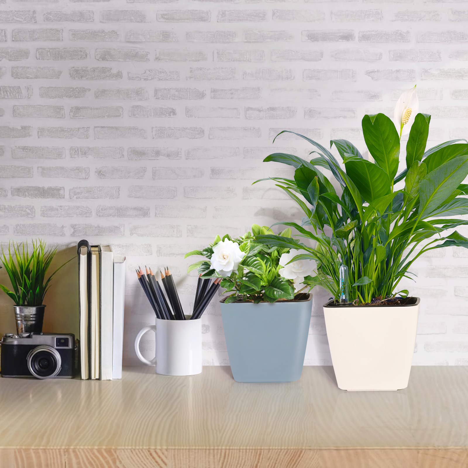 GARDENIX DECOR Fioriere Autoirriganti 17,8 Cm Con Indicatore Livello Acqua - Vaso Per Piante Da Interno Con Terriccio Di Cocco, Monitoraggio Crescita, Colori Vivaci