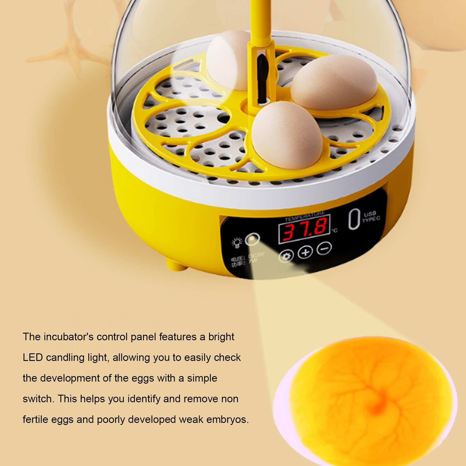 Buachois Incubatrice per uova da cova, tornitore automatico per uova con controllo dell'umidità della temperatura, mini design portatile per uova di pollo, anatra, uccelli, casa, scuola, uso educativo