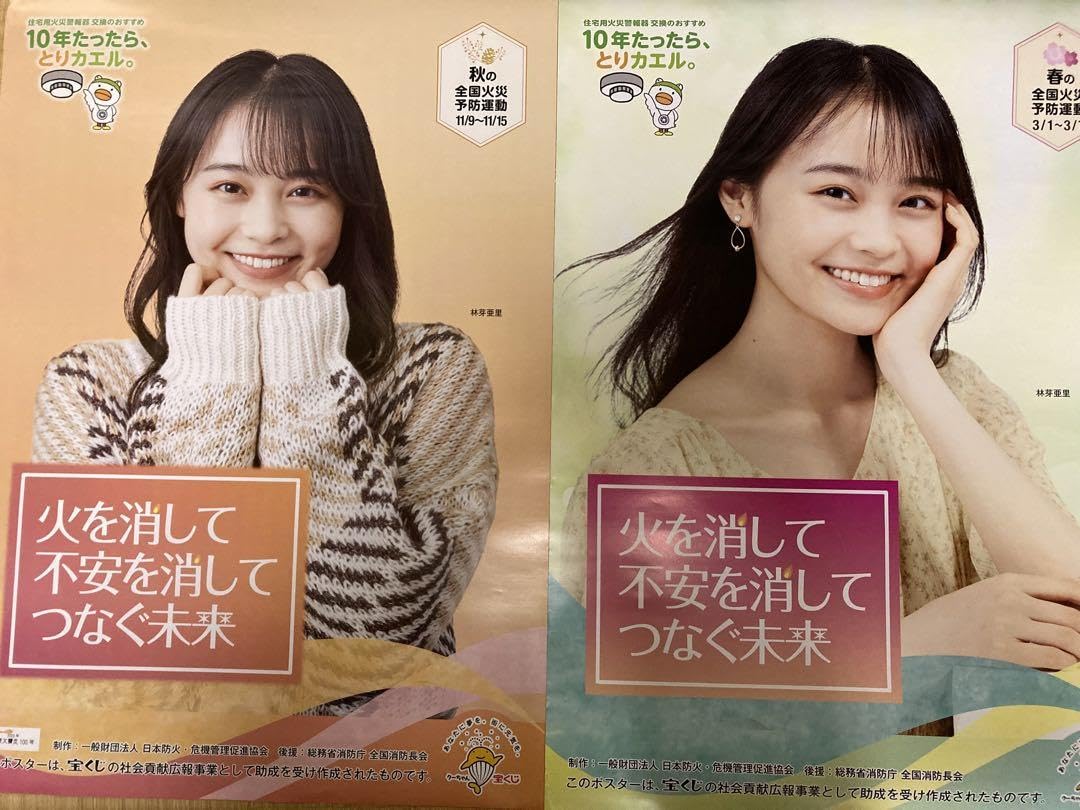 Blackish House キャンペーン 当選 ポスター 乃亜 非売品 Blackish House キャンペーン 当選 ポスター 乃亜 非売品 Blackish