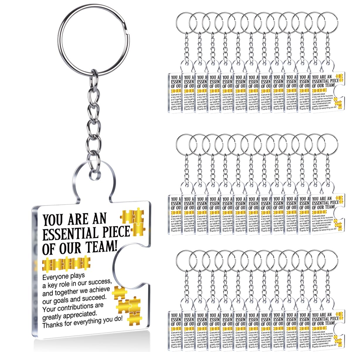 Team Appreciation Gifts Bulk Thank You Keychains for Coworkers