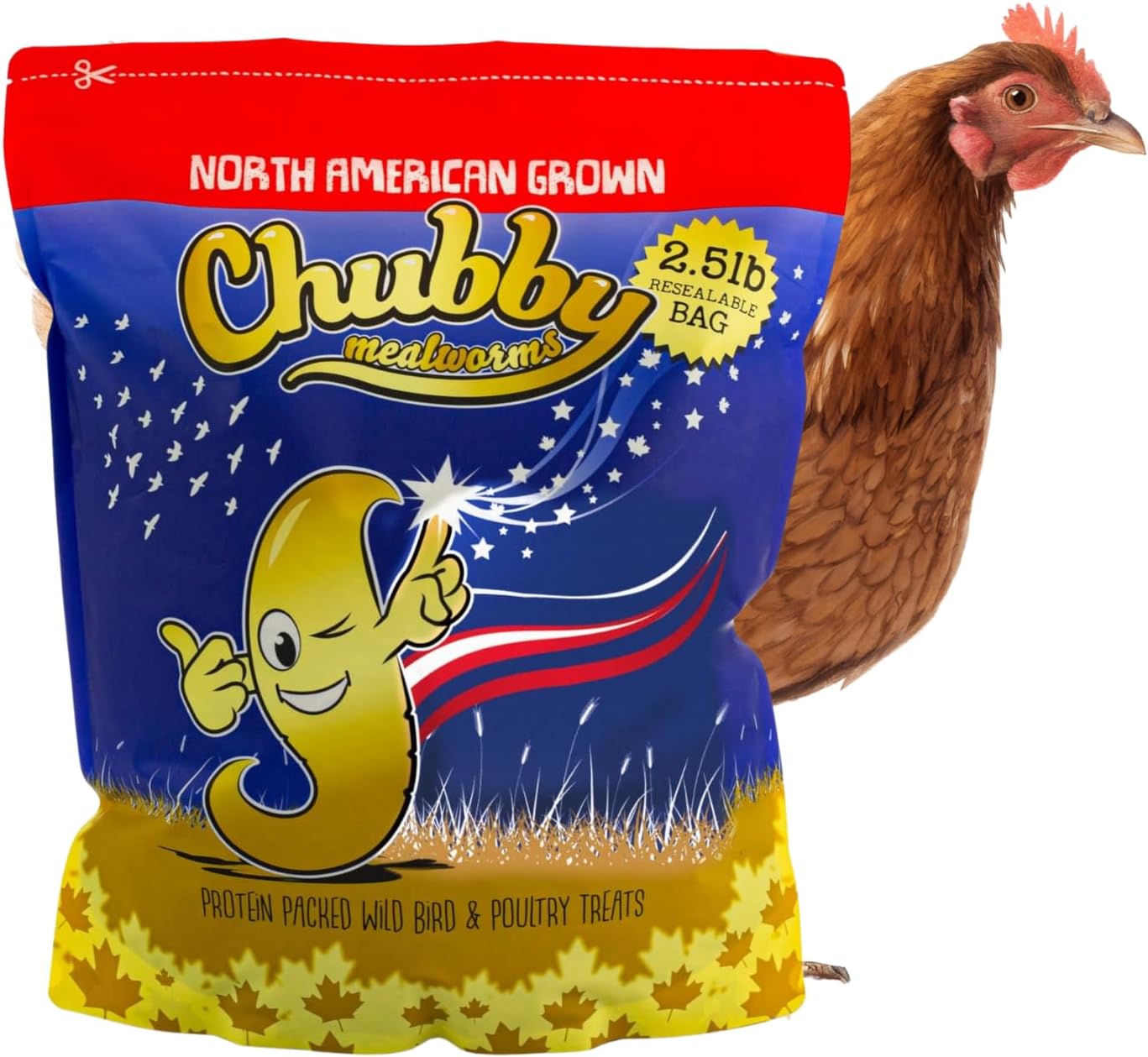 Chubby North American Grown Dried Mealworms | 2.5 lbs | Non-GMO High-Protein Treats for Chickens, Ducks & Wild Birds – Sustainable Chicken Feed