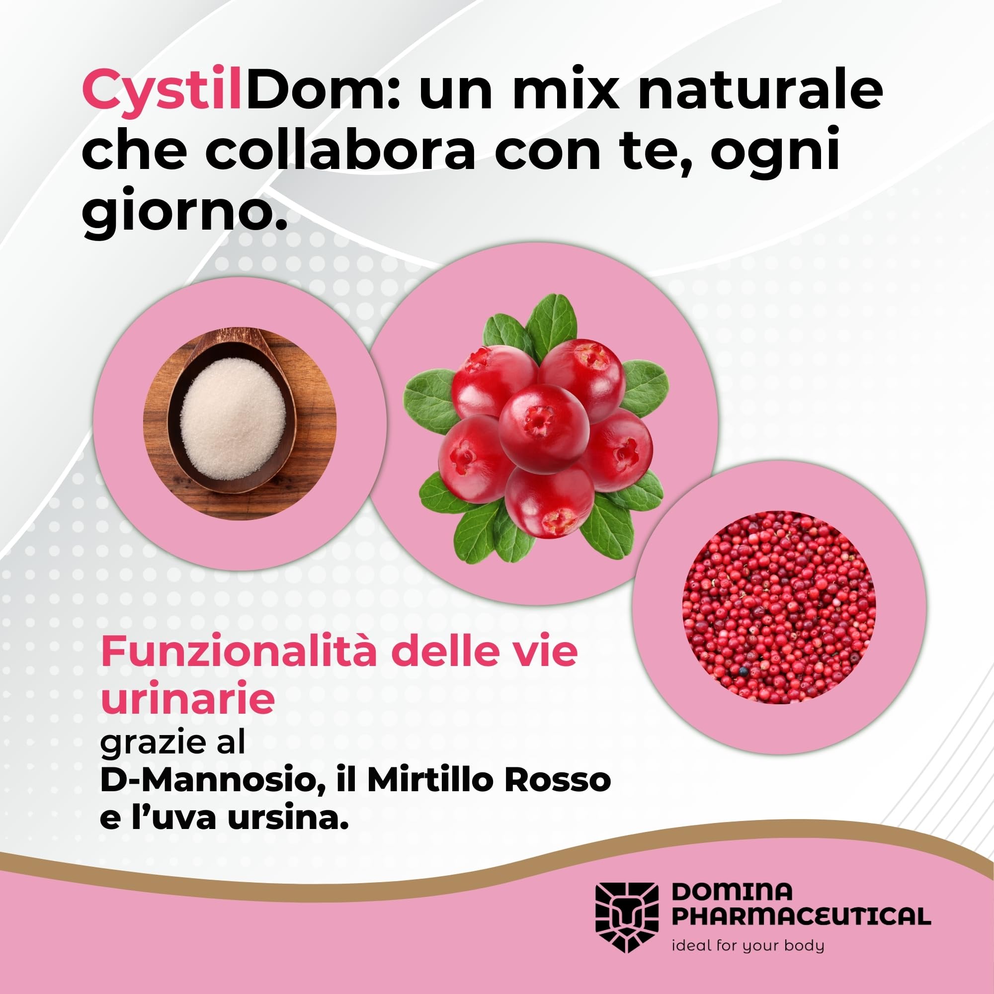 D Mannosio [PURO - VEGANO] Mannosio - con Mirtillo | Tripla Azione - Vie Urinarie - Intestino - Stress Ossidativo | Cistite - Candida Vaginosi | 500 mg -30 Capsule