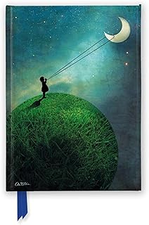 Catrin Welz-Stein: Chasing the Moon (Foiled Journal) (Flame Tree Notebooks)