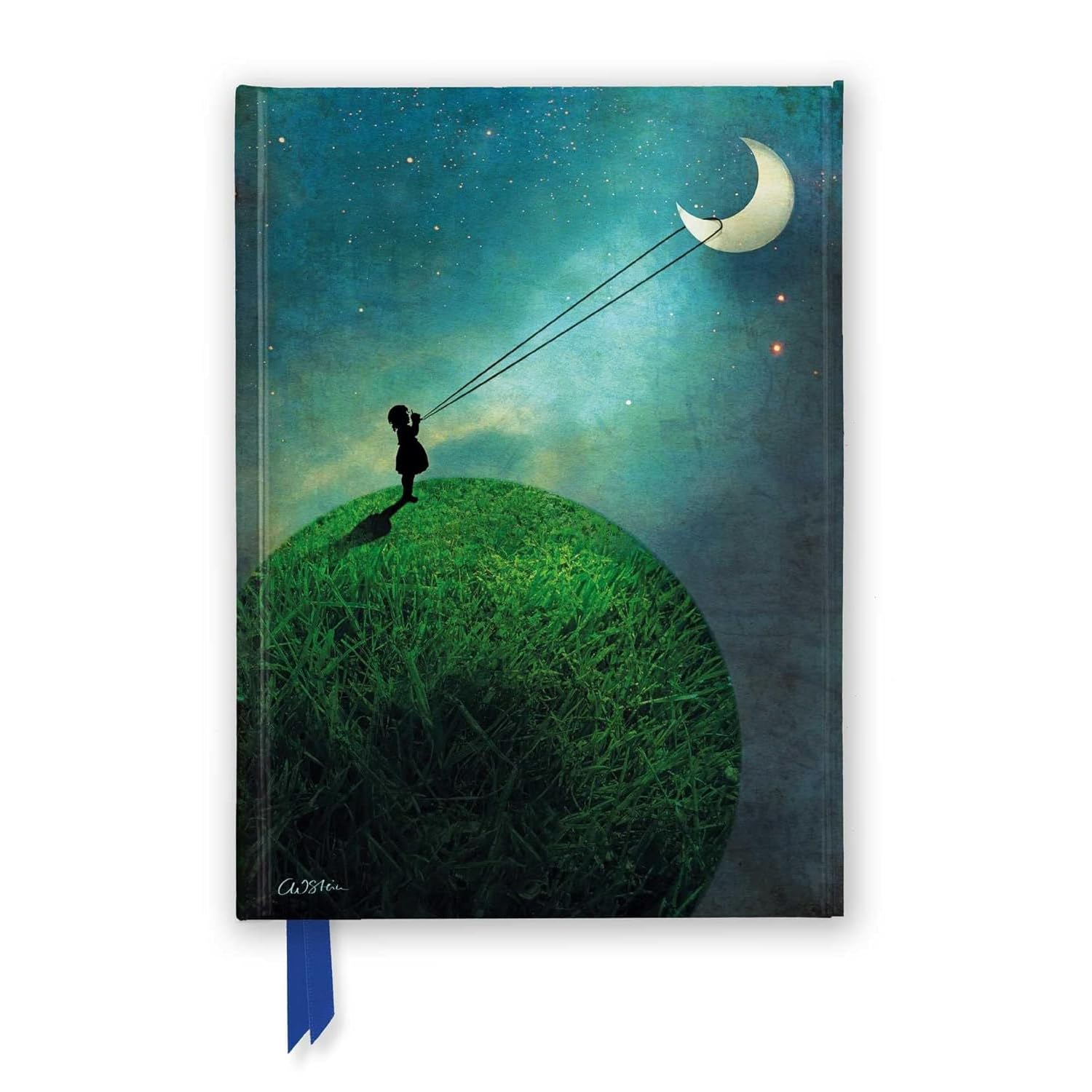 Catrin Welz-Stein: Chasing the Moon (Foiled Journal) (Flame Tree Notebooks)