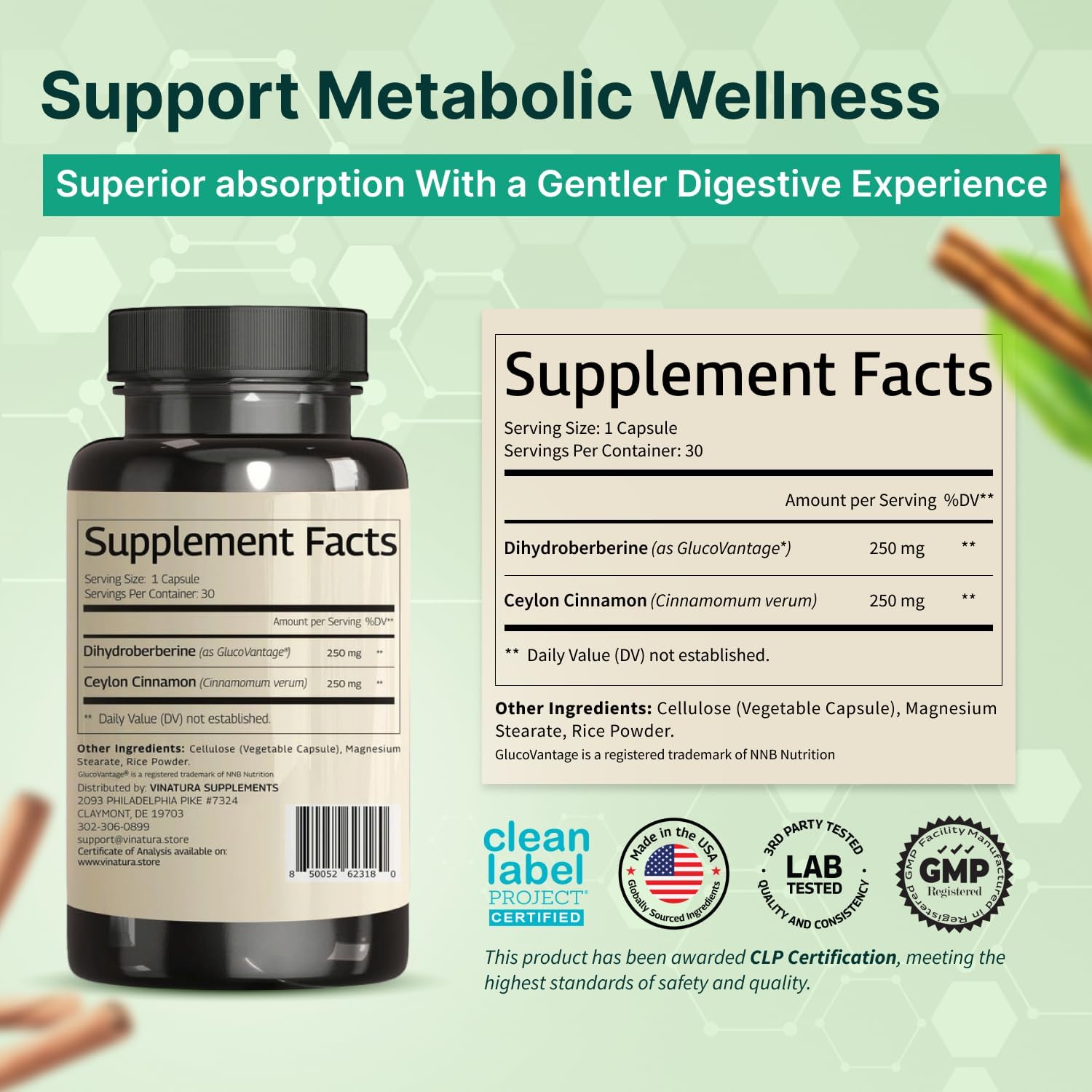 VINATURA Dihydroberberine Supplement with Ceylon Cinnamon, 500mg - (Patented GlucoVantage Super Berberine), Maybe Berberine 5X More absorbable - 30 Capsules