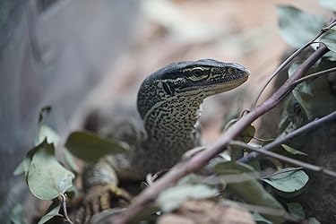 Customer Image, click to open customer review