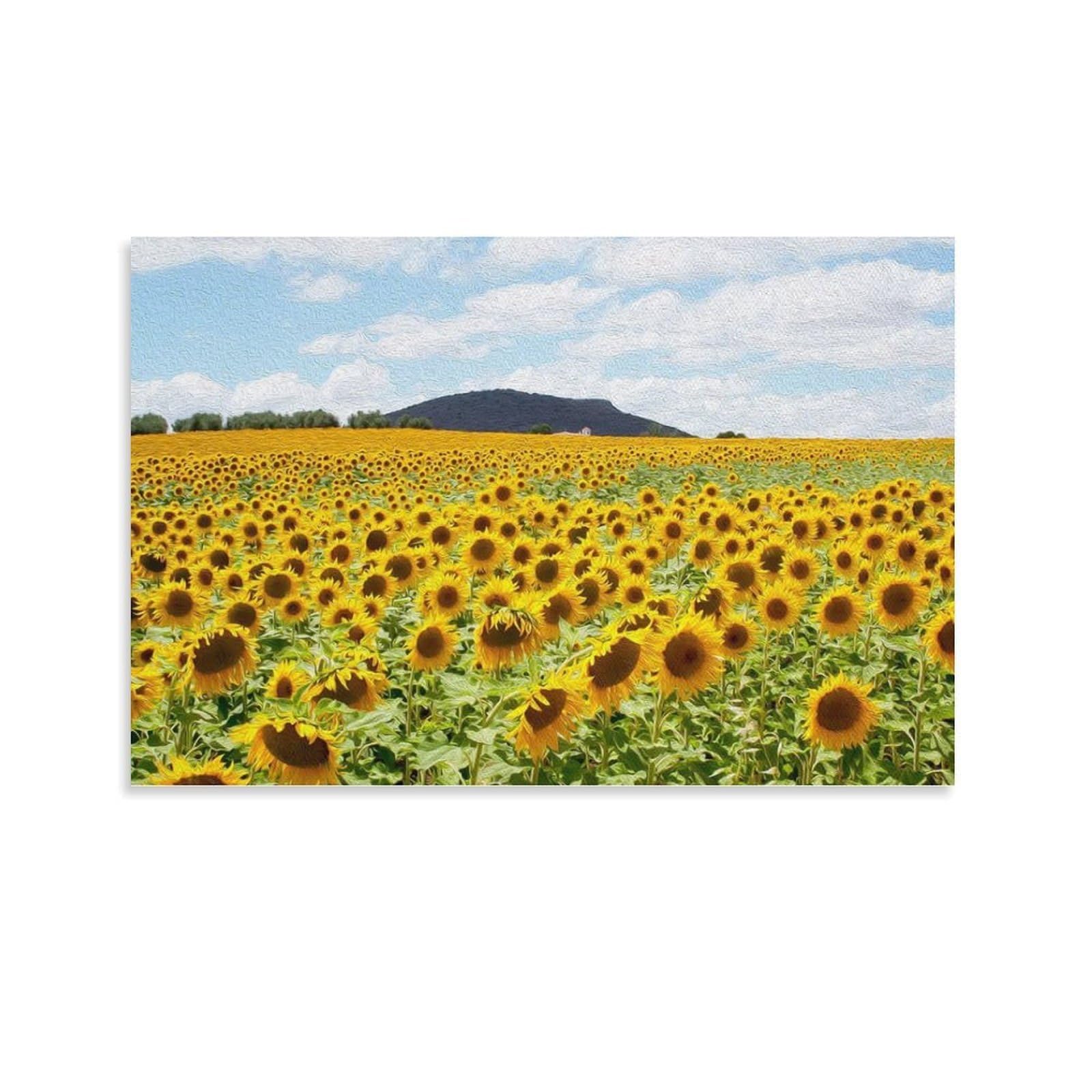 CPLVKWRQJ Sunflower Single Vast Sunflower Field Landscape Framed Canvas Wall Art - Kitchen Removable Wall Art Multi-Purpose Focal Point Decor 24x36inch(60x90cm)