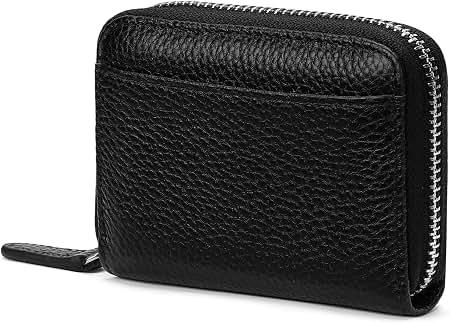 Amazon.com: Loungefly Corpse Bride Scraps Accordion Zip Around