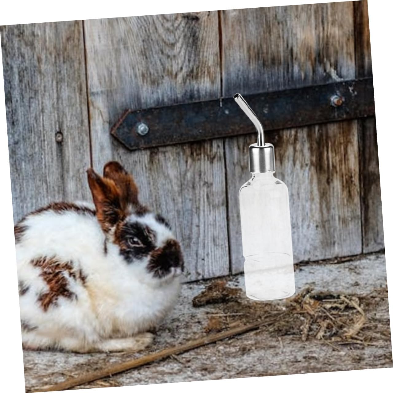 BESPORTBLE 2pcs Cute Water Bottles Rabbit Drinking Bottle Ball Touch Water Dispenser for Animals