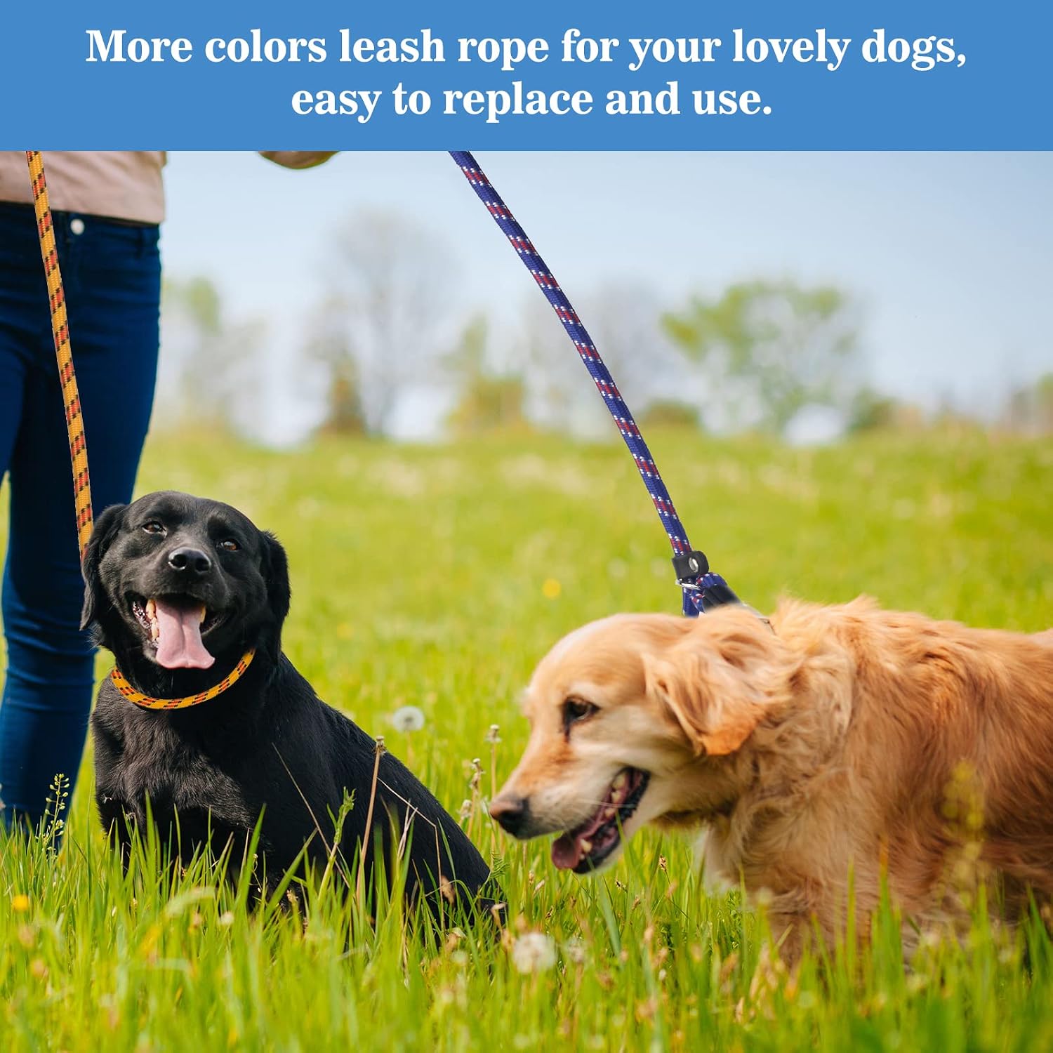Coolrunner 2PCS Durable Dog Slip Rope Leash, 5 FT Dog Training Leash, Strong Slip Lead, Standard Adjustable Pet Slipknot Nylon Leash for Small Medium Dogs(10-80 lb) (Blue+Yellow)