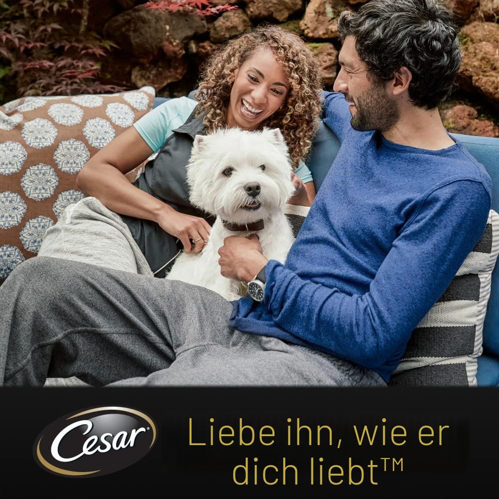 Cesar Senior 10+ Hundefutter Nassfutter Selektion in Gelee mit Huhn/Rindfleisch und Reis, 13 x (4 x 100g)
