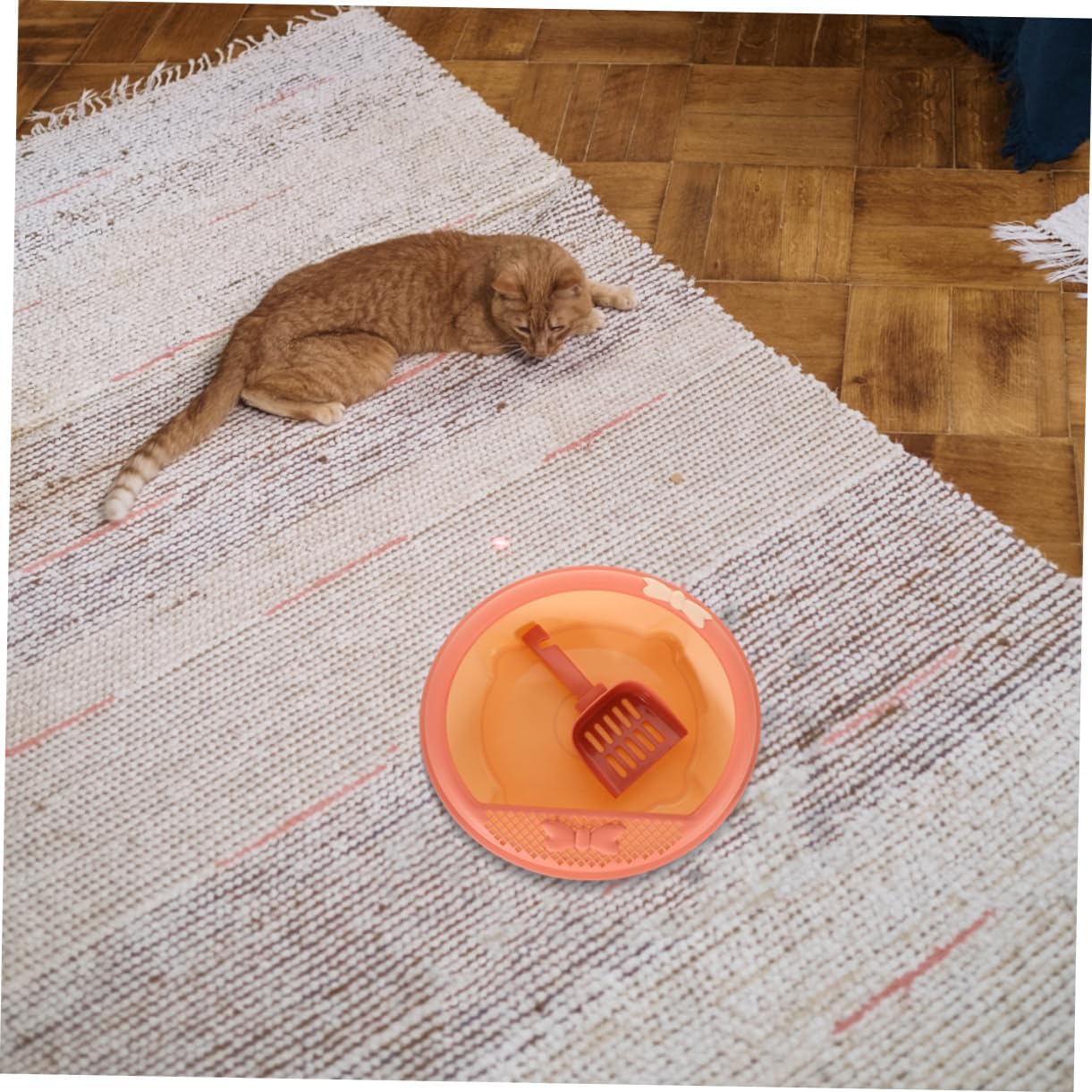 Cat Litter Box with Shovel -Splashing Pet Toilet for Kitten and Puppy Large Size Easy to