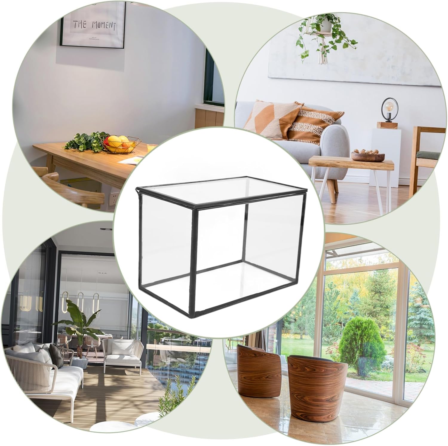 Terrarium Box Glass Plant Terrarium Landscape Display Holder Glass Container for Plants Decorative