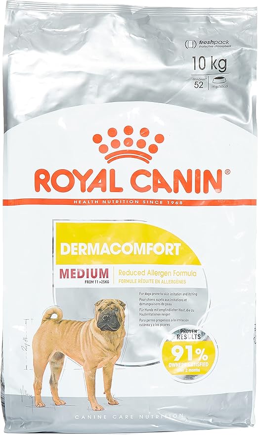 betta fish tank decorations