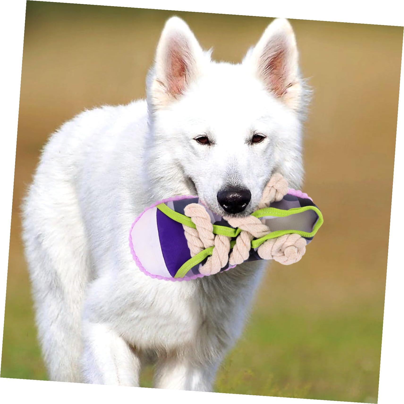 Lurrose Juguete para Perros Pequeños y Medianos Zapato Chirriante de Algodón con Cuerda Resistente para y Ayuda Limpiar Dientes y Promueve Hábitos Saludables para Mascotas