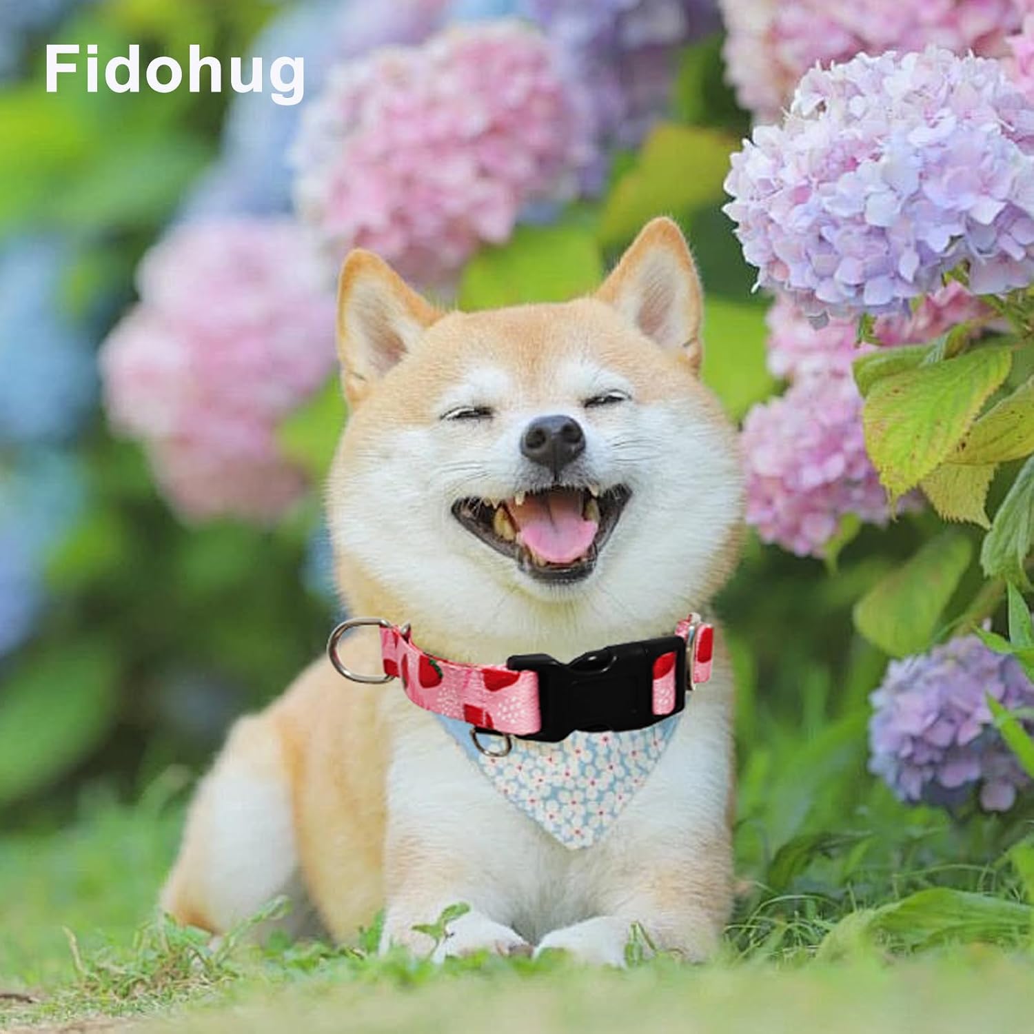 Martingale Collar for Dogs, Limited Slip No Pull Training Collar image 4